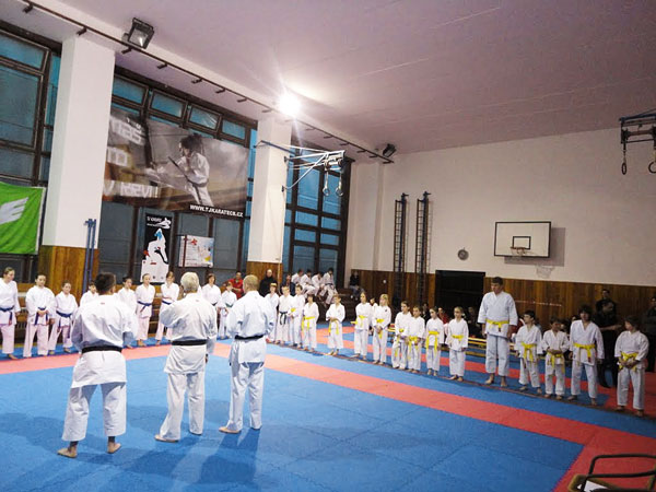 Karate galerie