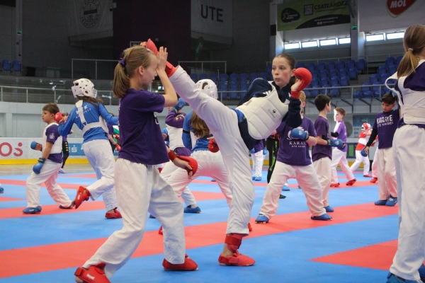 Maďarsko - Randori camp + cup 