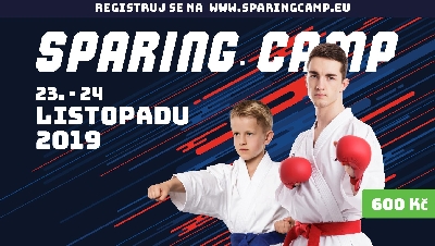 Sparing camp 2019