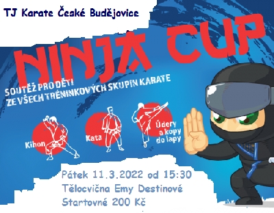 KLUBOVÉ SOUTĚŽE NINJA SERIE