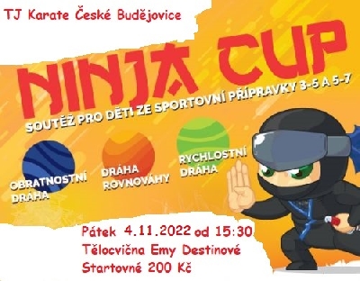 NINJA CUP - SOUTĚŽ PRO SPORTOVNÍ PŘÍPRAVKU