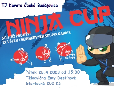 NINJA CUP SOUTĚŽ PRO DĚTI Z KARATE