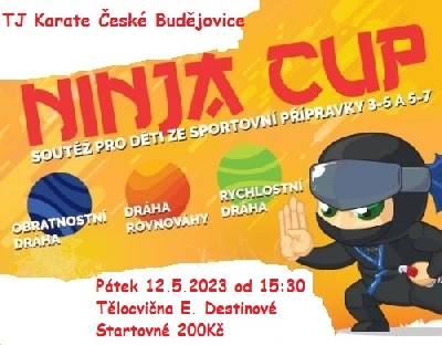 NINJA CUP - SOUTĚŽ PRO SPORTOVNÍ PŘÍPRAVKU