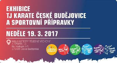 Ukázka pro všechny děti ze všech skupin <br> Exhibice 2017