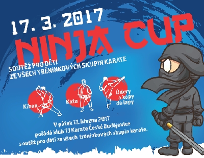 Ninja Cup - karate