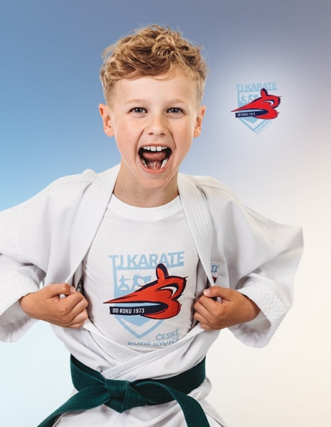 ROZDĚLENÍ DO TRÉNINKOVÝCH SKUPIN KARATE A ROZVRH TRÉNINKŮ OD ZÁŘÍ 2026